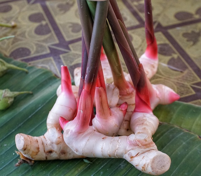 Seasonal Thai Foods: July
