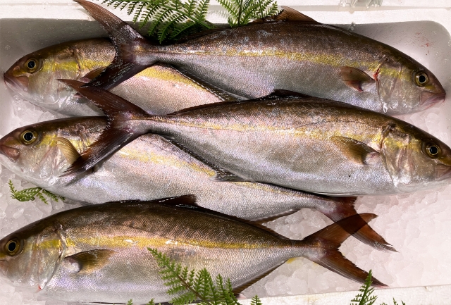Seasonal Delicacies – August