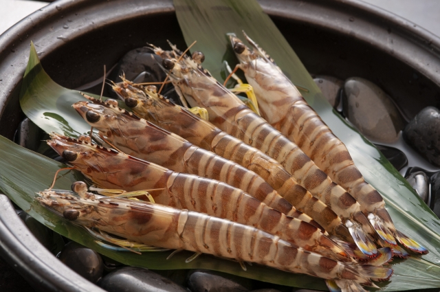 Seasonal Delicacies – August