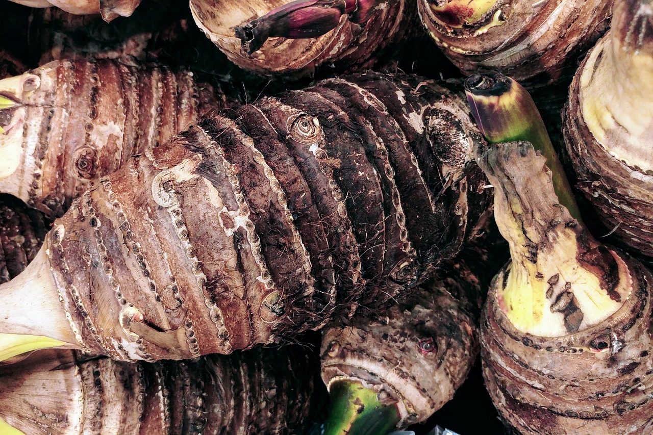 Thai Seasonal Ingredients: October