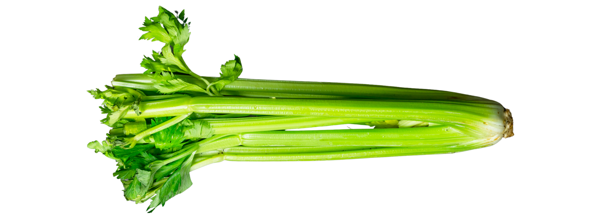 Celery