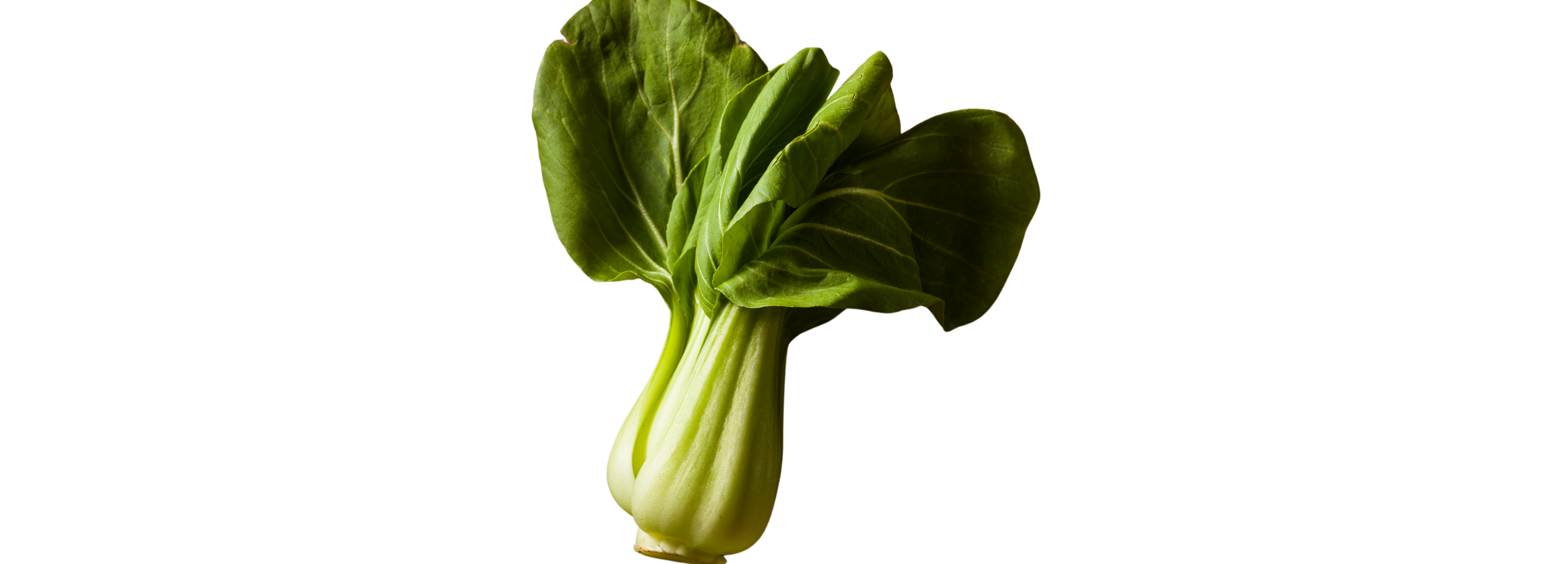 Bok Choy