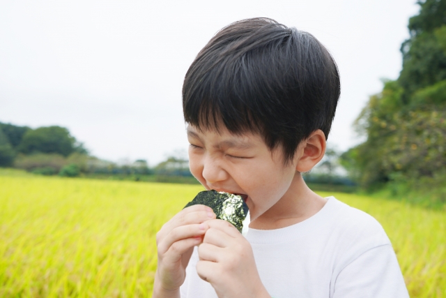 November Seasonal Ingredients: The Arrival of New Rice The Season of New Rice