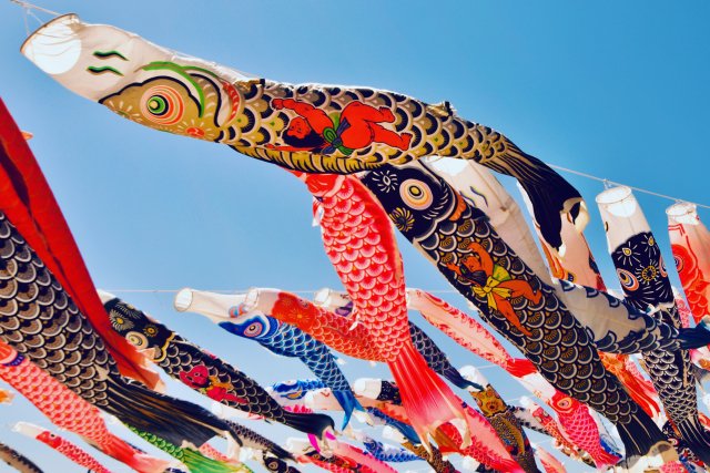 Shusse-uo: More Than Just Fish—A Story of Growth