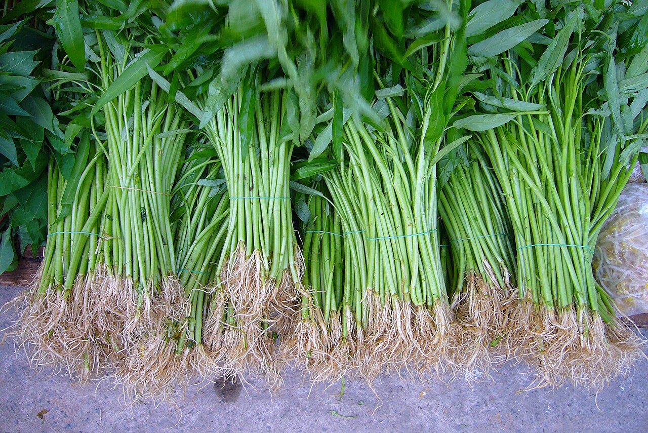 Thai Seasonal Foods in June