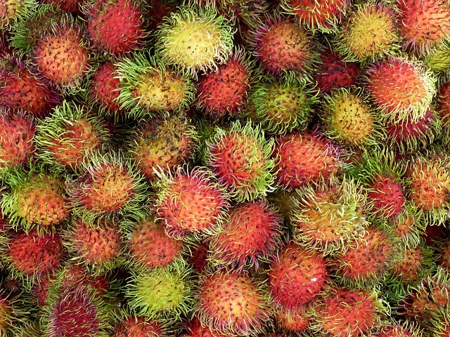 Thai Seasonal Foods in June
