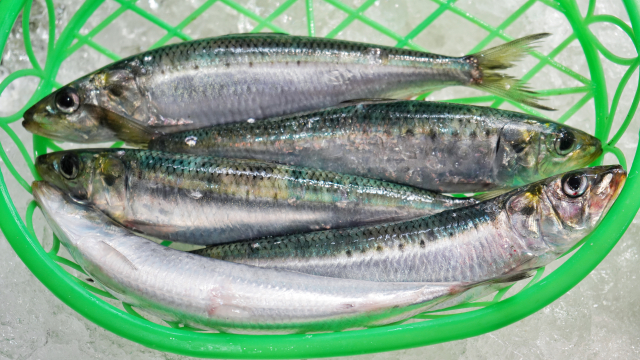 Seasonal Foods in Japan – June