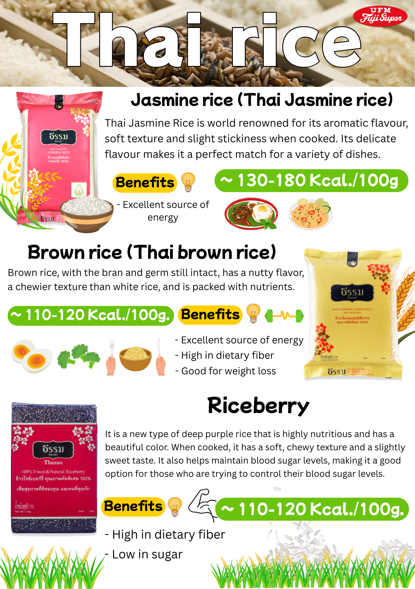 Rice of Thailand