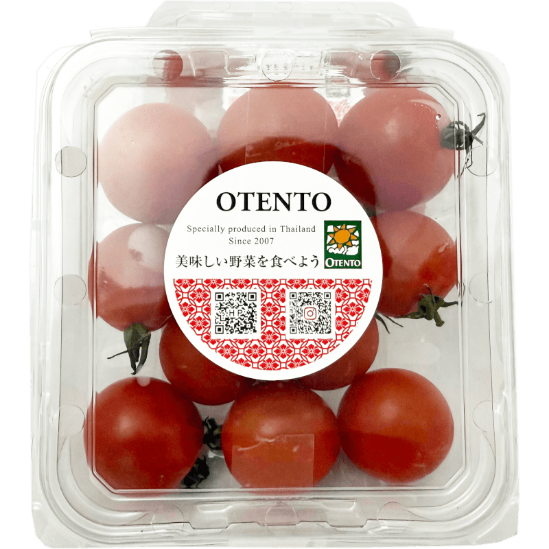 Otento Mini tomato