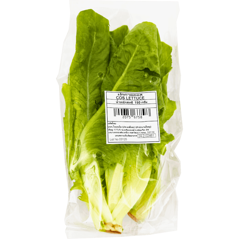 Cos Lettuce