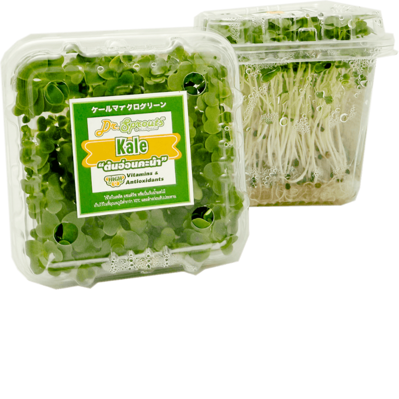 Dr.Sprouts Kale microgreen