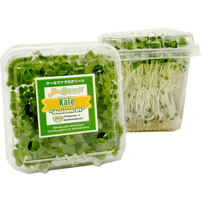 Dr.Sprouts Kale microgreen